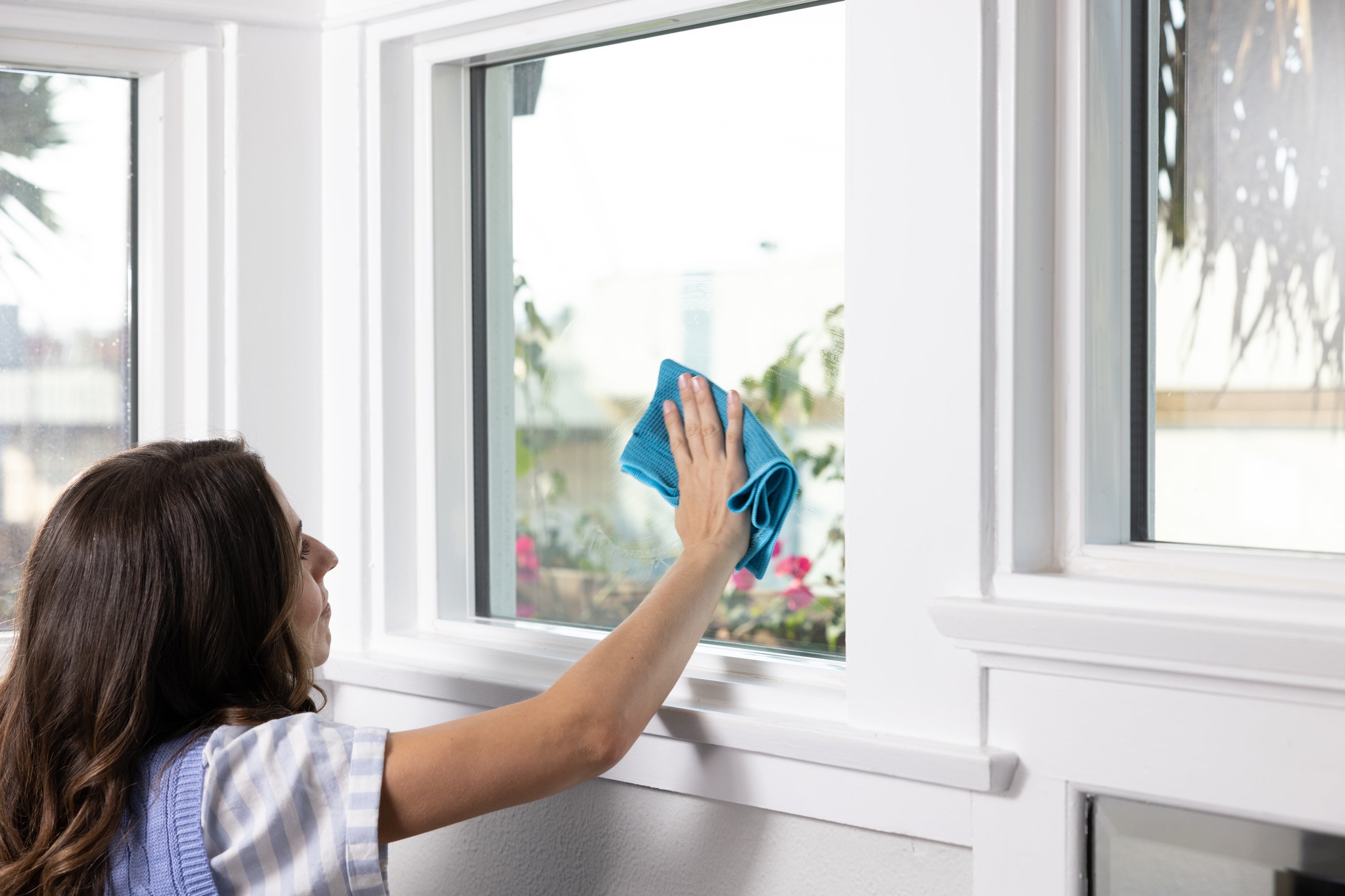 Window Cleaning Products